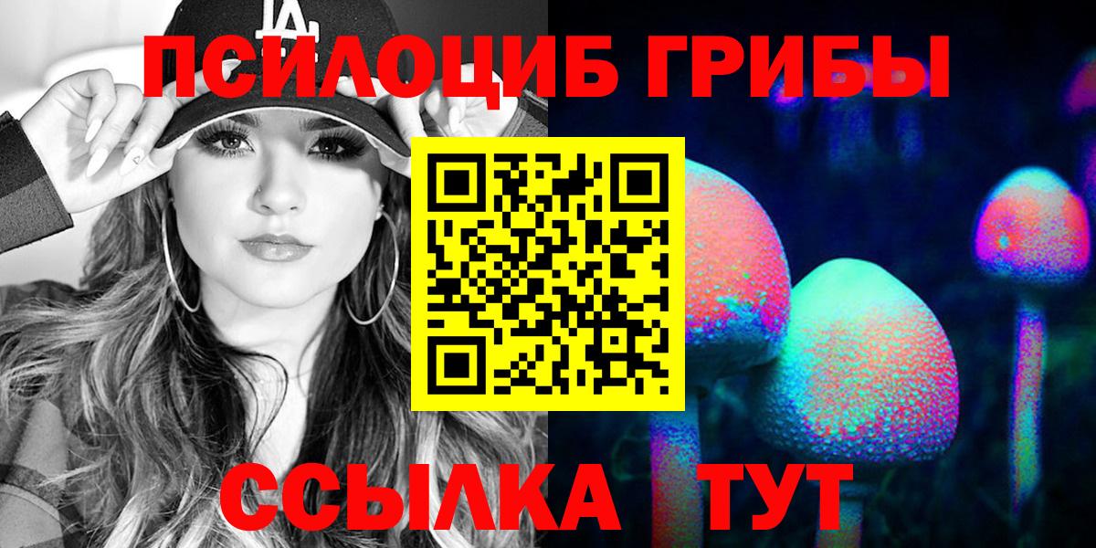 Стрежевой  Псилоцибиновые грибы прущие грибы  Вход с VPN  Псилоцибиновые грибы Cubensis 